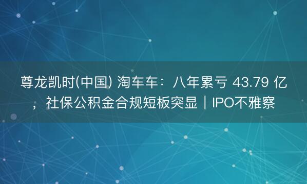 尊龙凯时(中国) 淘车车：八年累亏 43.79 亿，社保公积金合规短板突显｜IPO不雅察