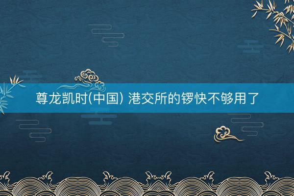 尊龙凯时(中国) 港交所的锣快不够用了