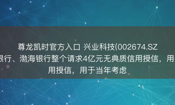 尊龙凯时官方入口 兴业科技(002674.SZ)：向光大银行、渤海银行整个请求4亿元无典质信用授信，用于当年考虑