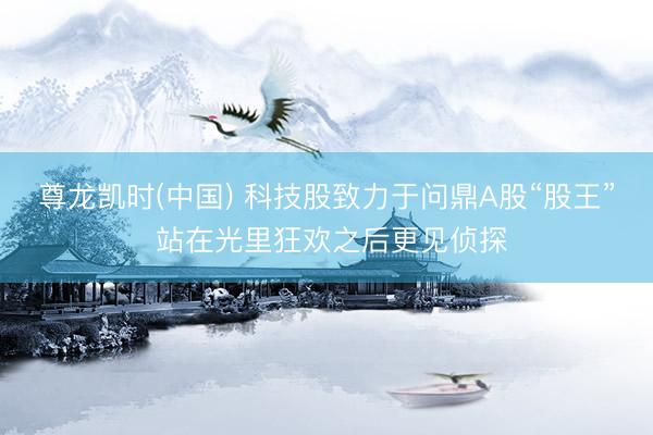 尊龙凯时(中国) 科技股致力于问鼎A股“股王” 站在光里狂欢之后更见侦探