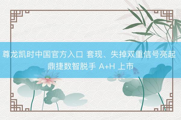 尊龙凯时中国官方入口 套现、失掉双重信号亮起 鼎捷数智脱手 A+H 上市