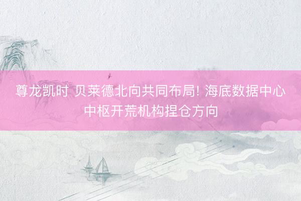 尊龙凯时 贝莱德北向共同布局! 海底数据中心中枢开荒机构捏仓方向