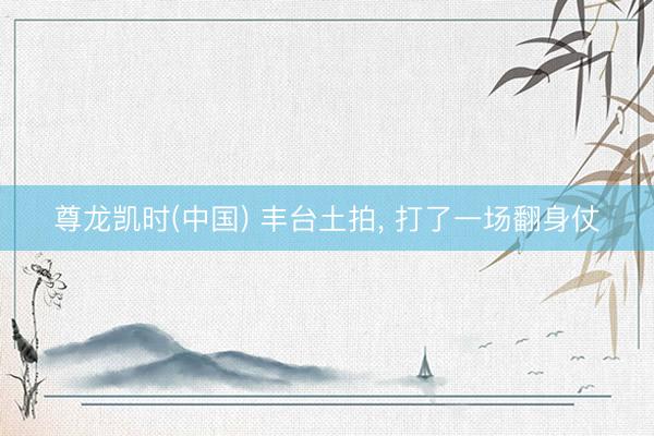 尊龙凯时(中国) 丰台土拍, 打了一场翻身仗