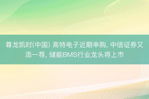 尊龙凯时(中国) 高特电子近期申购， 中信证券又添一荐， 储能BMS行业龙头将上市