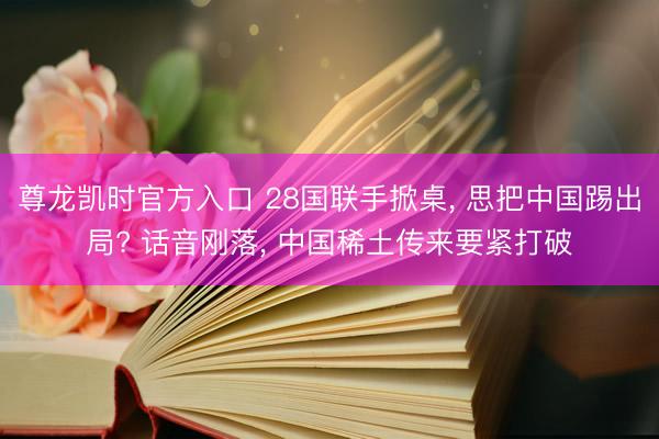 尊龙凯时官方入口 28国联手掀桌， 思把中国踢出局? 话音刚落， 中国稀土传来要紧打破