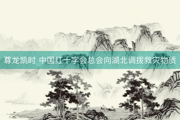 尊龙凯时 中国红十字会总会向湖北调拨救灾物质