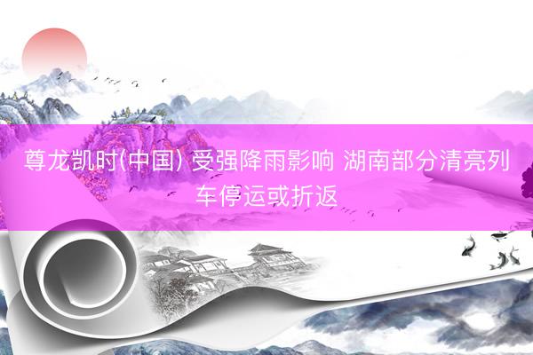 尊龙凯时(中国) 受强降雨影响 湖南部分清亮列车停运或折返