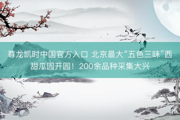 尊龙凯时中国官方入口 北京最大“五色三味”西甜瓜园开园！200余品种采集大兴