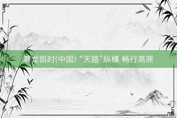 尊龙凯时(中国) “天路”纵横 畅行高原