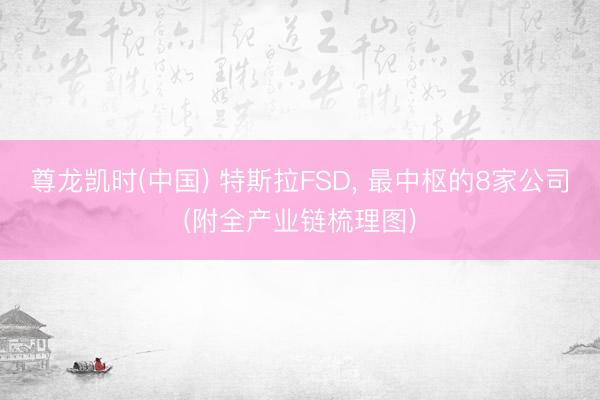 尊龙凯时(中国) 特斯拉FSD， 最中枢的8家公司(附全产业链梳理图)