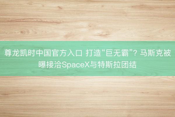 尊龙凯时中国官方入口 打造“巨无霸”? 马斯克被曝接洽SpaceX与特斯拉团结