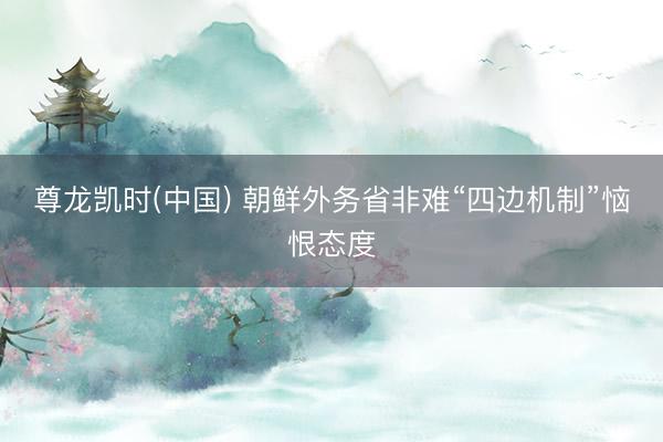 尊龙凯时(中国) 朝鲜外务省非难“四边机制”恼恨态度