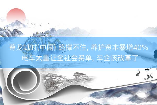 尊龙凯时(中国) 路撑不住， 养护资本暴增40% 电车太重让全社会买单， 车企该改革了