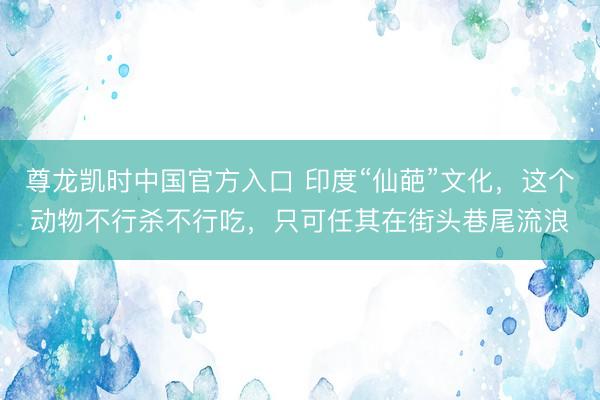 尊龙凯时中国官方入口 印度“仙葩”文化，这个动物不行杀不行吃，只可任其在街头巷尾流浪