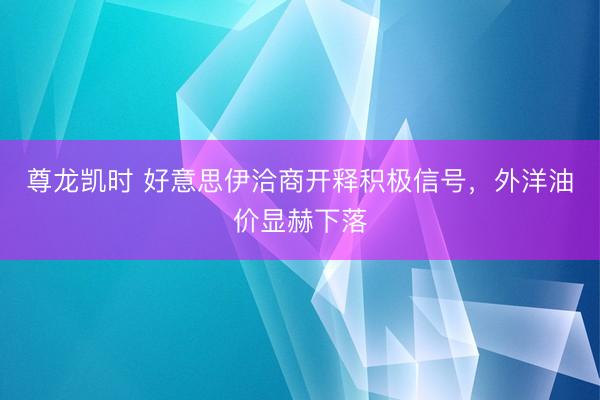 尊龙凯时 好意思伊洽商开释积极信号，外洋油价显赫下落