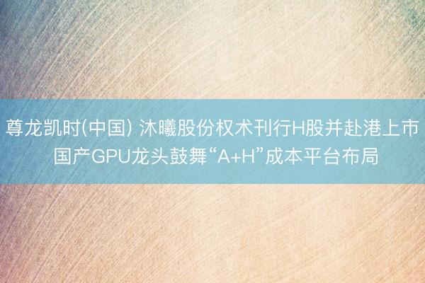 尊龙凯时(中国) 沐曦股份权术刊行H股并赴港上市 国产GPU龙头鼓舞“A+H”成本平台布局