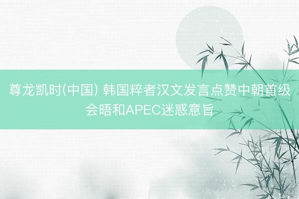 尊龙凯时(中国) 韩国粹者汉文发言点赞中朝首级会晤和APEC迷惑意旨