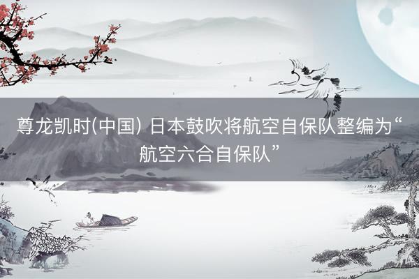 尊龙凯时(中国) 日本鼓吹将航空自保队整编为“航空六合自保队”