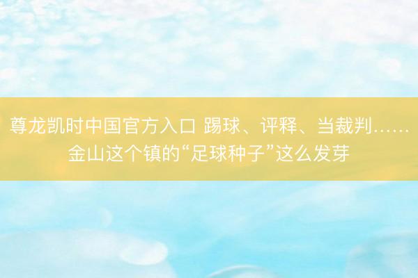 尊龙凯时中国官方入口 踢球、评释、当裁判……金山这个镇的“足球种子”这么发芽