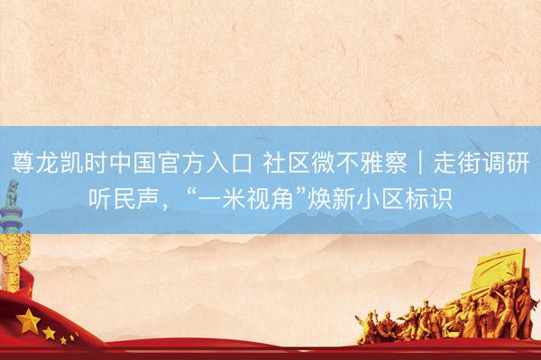 尊龙凯时中国官方入口 社区微不雅察｜走街调研听民声，“一米视角”焕新小区标识