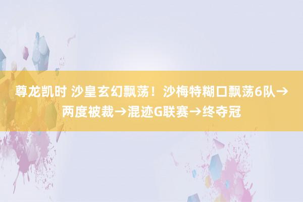 尊龙凯时 沙皇玄幻飘荡！沙梅特糊口飘荡6队→两度被裁→混迹G联赛→终夺冠