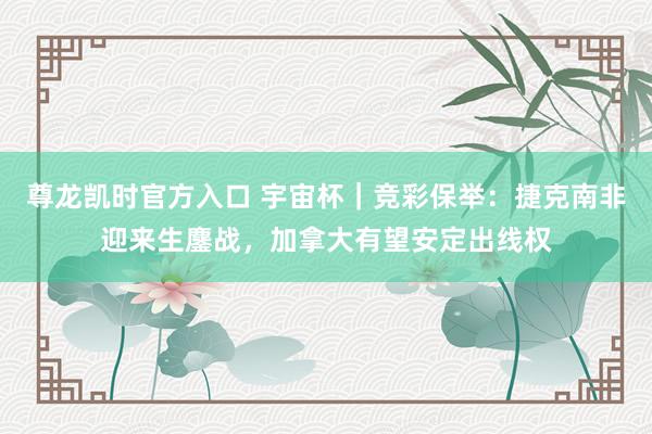 尊龙凯时官方入口 宇宙杯｜竞彩保举：捷克南非迎来生鏖战，加拿大有望安定出线权
