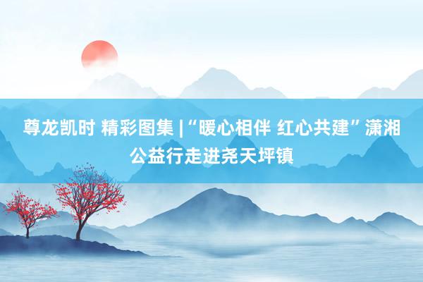 尊龙凯时 精彩图集 |“暖心相伴 红心共建”潇湘公益行走进尧天坪镇