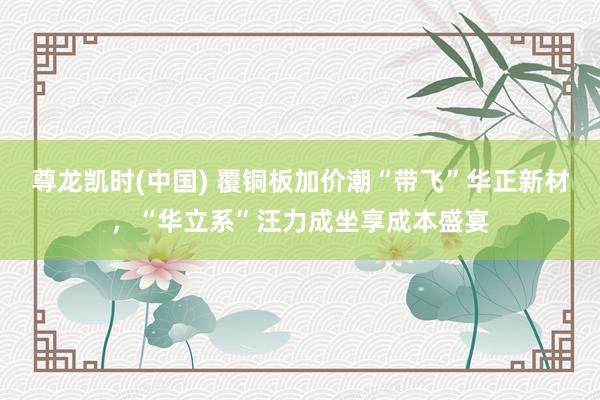 尊龙凯时(中国) 覆铜板加价潮“带飞”华正新材，“华立系”汪力成坐享成本盛宴