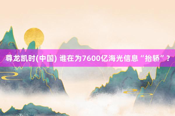 尊龙凯时(中国) 谁在为7600亿海光信息“抬轿”？